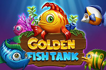 Golden Fish Tank